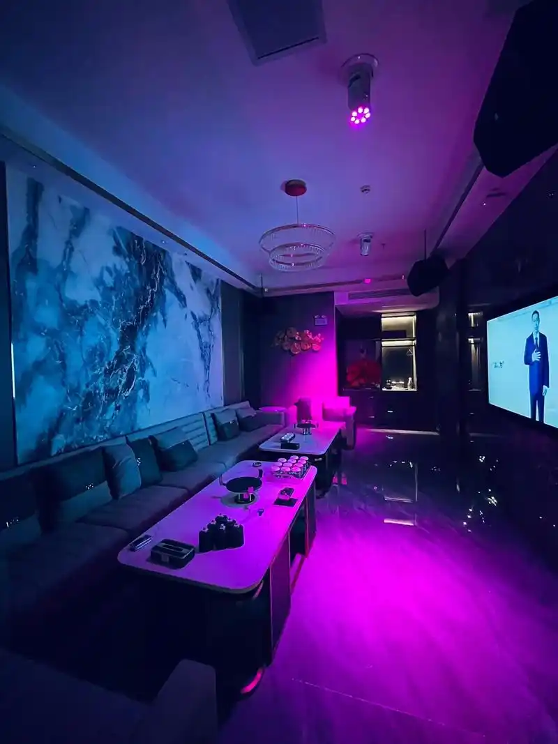 鞍山商务ktv及其商务ktv啥意思解析-千山区ktv预订